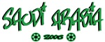Saudi Aradia soccer shirt d542